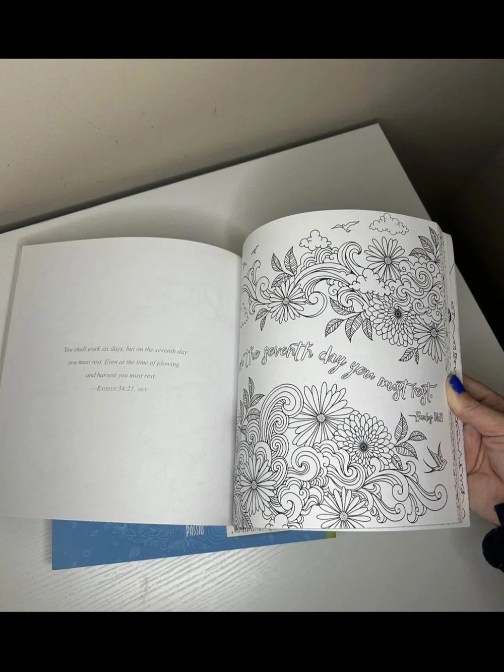 Set Of 4- Colors of Creation Adult Coloring Book: Color and Reflect on God's...